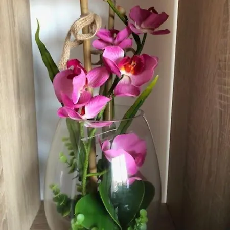 シャレー Le Soleil Levant