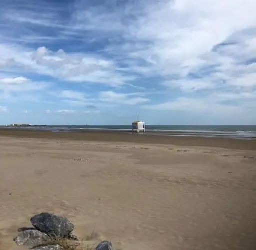 Le Soleil Levant 格吕桑