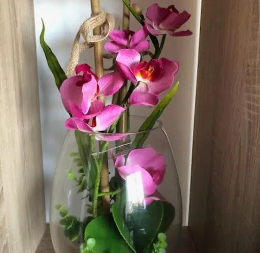 木屋 Le Soleil Levant